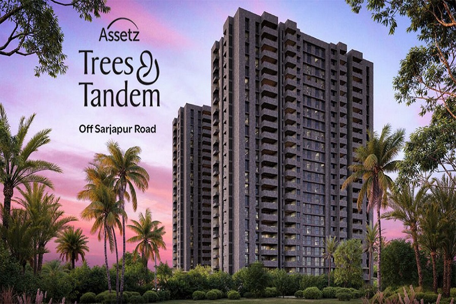 Assetz Trees & Tandem