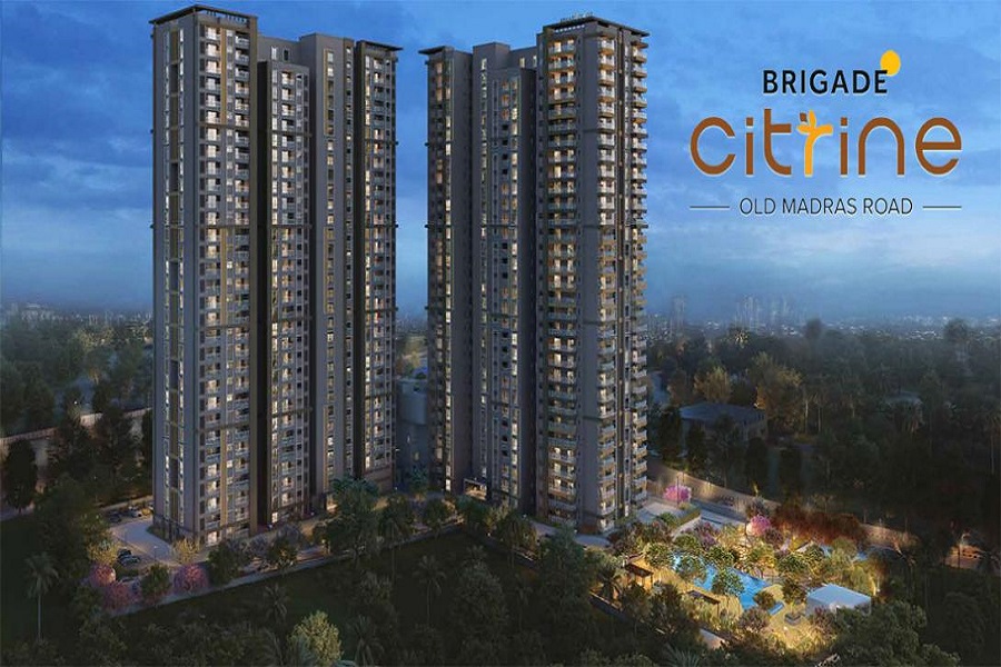 Brigade Citrine